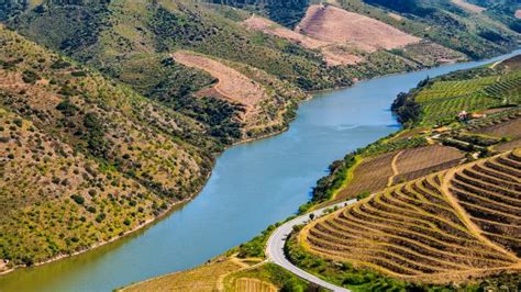 act lamego|Lamego, The Coziest Town In The Heart Of The。